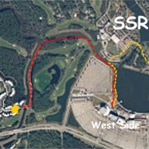 Satellite with OKW & SSR paths to DD