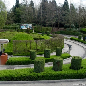 Autopia track