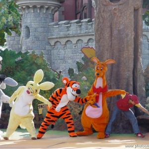 Winnie the Pooh show