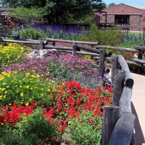 Kennel/Stable area.