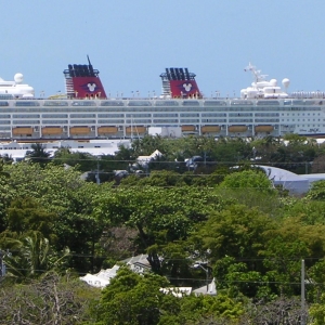 cruise_31_