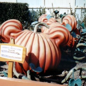 Pumpkinus Maximouse