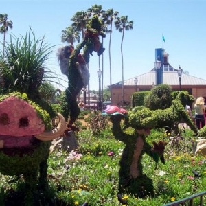 Lion King topiary.