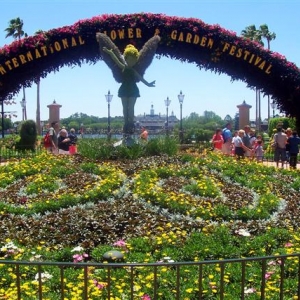 Tinkerbell topiary.