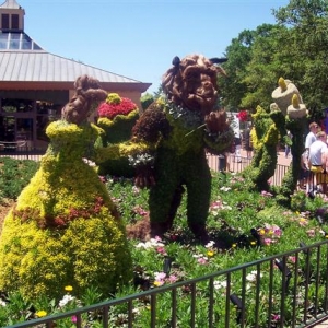 Beauty and the Beast.