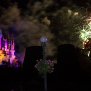 Wishes
