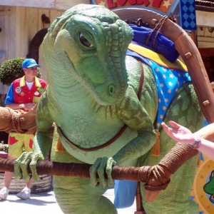 Lucky at DAK.