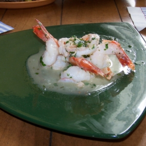Spoodles_Shrimp_App