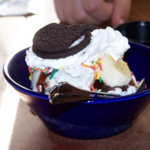 Spoodles_Sundae