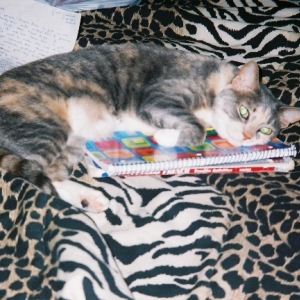cleo
