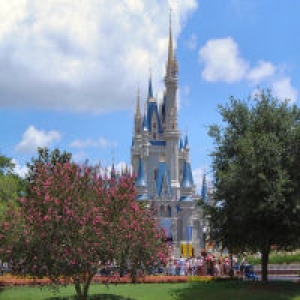 Cinderella's Castle
