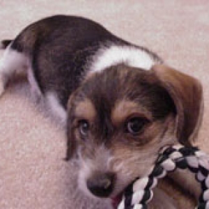 WDWBetsy's baby, Peanut