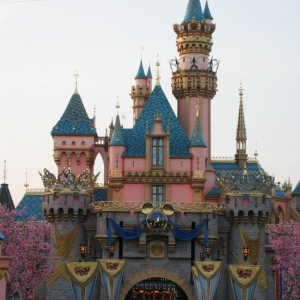 Attraction Schedule Board