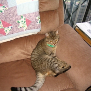 Tigger_Day_One