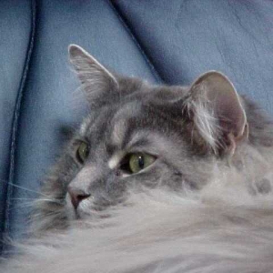 Abby1