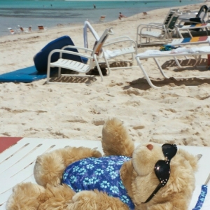 Dio Sunbathing at CastawayCay