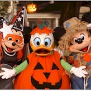 MNSSHP Trio