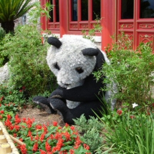 Topiaries