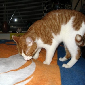 Tony