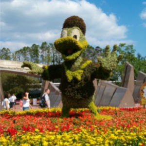 Donald
