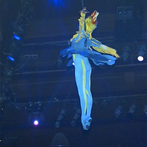 FotLK acrobat 1