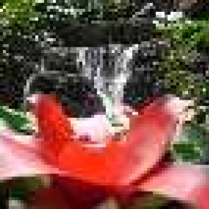 Poly_Waterfall_Thumbnail_Web_view