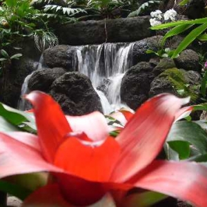 Poly Waterfall 2008