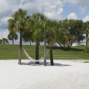 Beach hammock