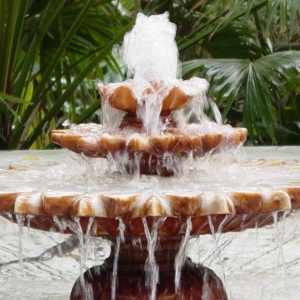 Pretty fountain in Animal Kingdom