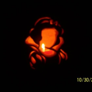 Snow White Pumpkin