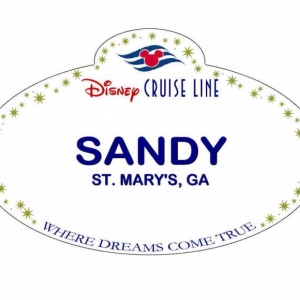 XSANDY2