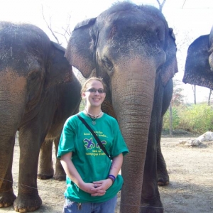 Elephant_8