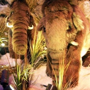 T-Rex Cafe