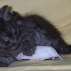 Princess with Baby