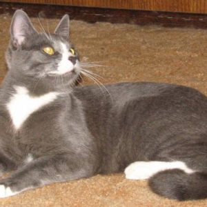 Tom