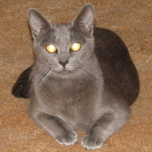 Jean