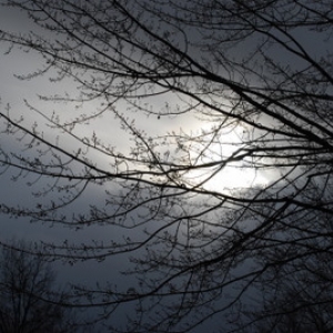Photo taken with new D60