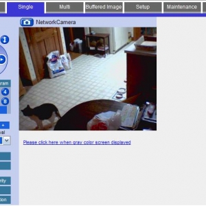 Cat Cam