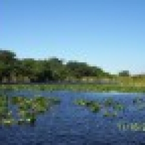 Everglades Airboat