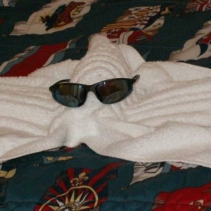 Towel Animal