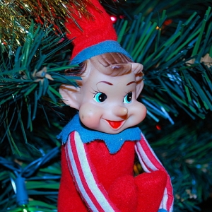 The Elf