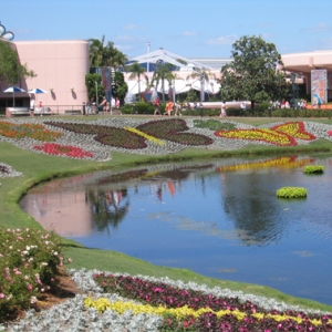 WDW2005-8