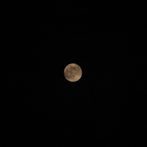 moon