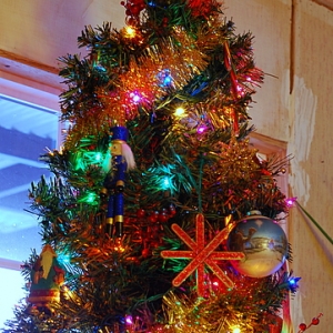 Tree with lights