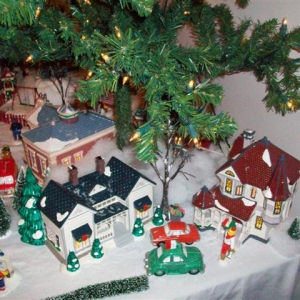 08Village_Pictures_009_Small_