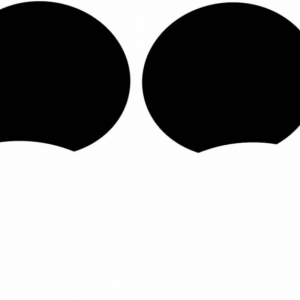 Mickey Ears for magnets for cruise door