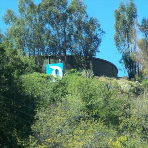 The Disney D in front of John Stamos' house.