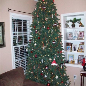 08treepics_034_Medium_