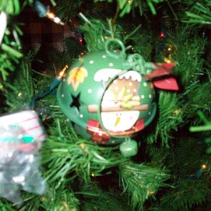 08treepics_037_Small_