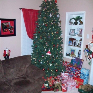 08atreepics_002_Medium_